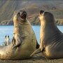 IMG_20260302_070803