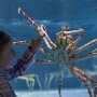 IMG_20260304_070233