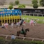 IMG_20260305_070750