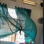 IMG_20260305_070945