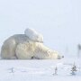 IMG_20260306_070454
