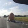 IMG_20260306_070704