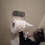 IMG_20260308_084521