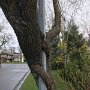 IMG_20260308_084739