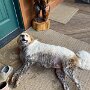 IMG_20260310_073502