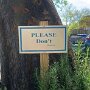 IMG_20260311_065326