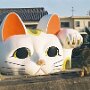 IMG_20260313_070537