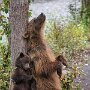 IMG_20260315_074725