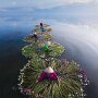 IMG_20260315_074846