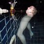 IMG_20260317_070519