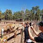 IMG_20260320_070557