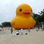 IMG_20260322_094216