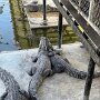 IMG_20260324_074303