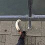 IMG_20260324_074346