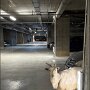 IMG_20260324_074459