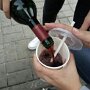 IMG_20260324_074603
