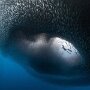 IMG_20260325_064725