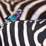 IMG_20260325_064826