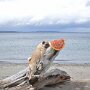 IMG_20260325_065005