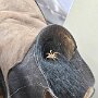 IMG_20260327_064802