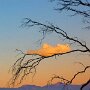 IMG_20260328_070739