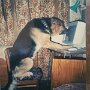 IMG_20260328_070941