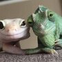 IMG_20260329_071643