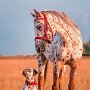IMG_20260330_064753