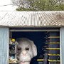 IMG_20260331_064904