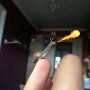IMG_20260402_064841