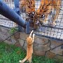 IMG_20260412_062400