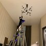 IMG_20260412_062407