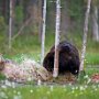 IMG_20260415_081623