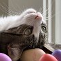 IMG_20260416_070834
