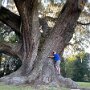 IMG_20260418_083158