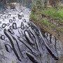 IMG_20260418_083531