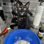 IMG_20260419_095744
