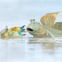 IMG_20260422_073757