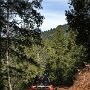 IMG_20260423_065545
