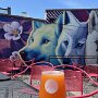 IMG_20260604_071720