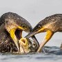 IMG_20260605_083214