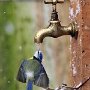 IMG_20260612_064600