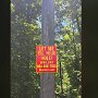IMG_20260616_070852
