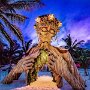 IMG_20260617_070555
