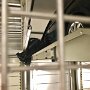 IMG_20260617_070605