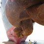 IMG_20260617_070636