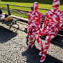 IMG_20260617_070707