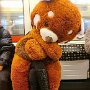 IMG_20260619_070832