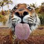 IMG_20260620_084051