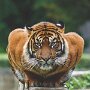 IMG_20260622_070520